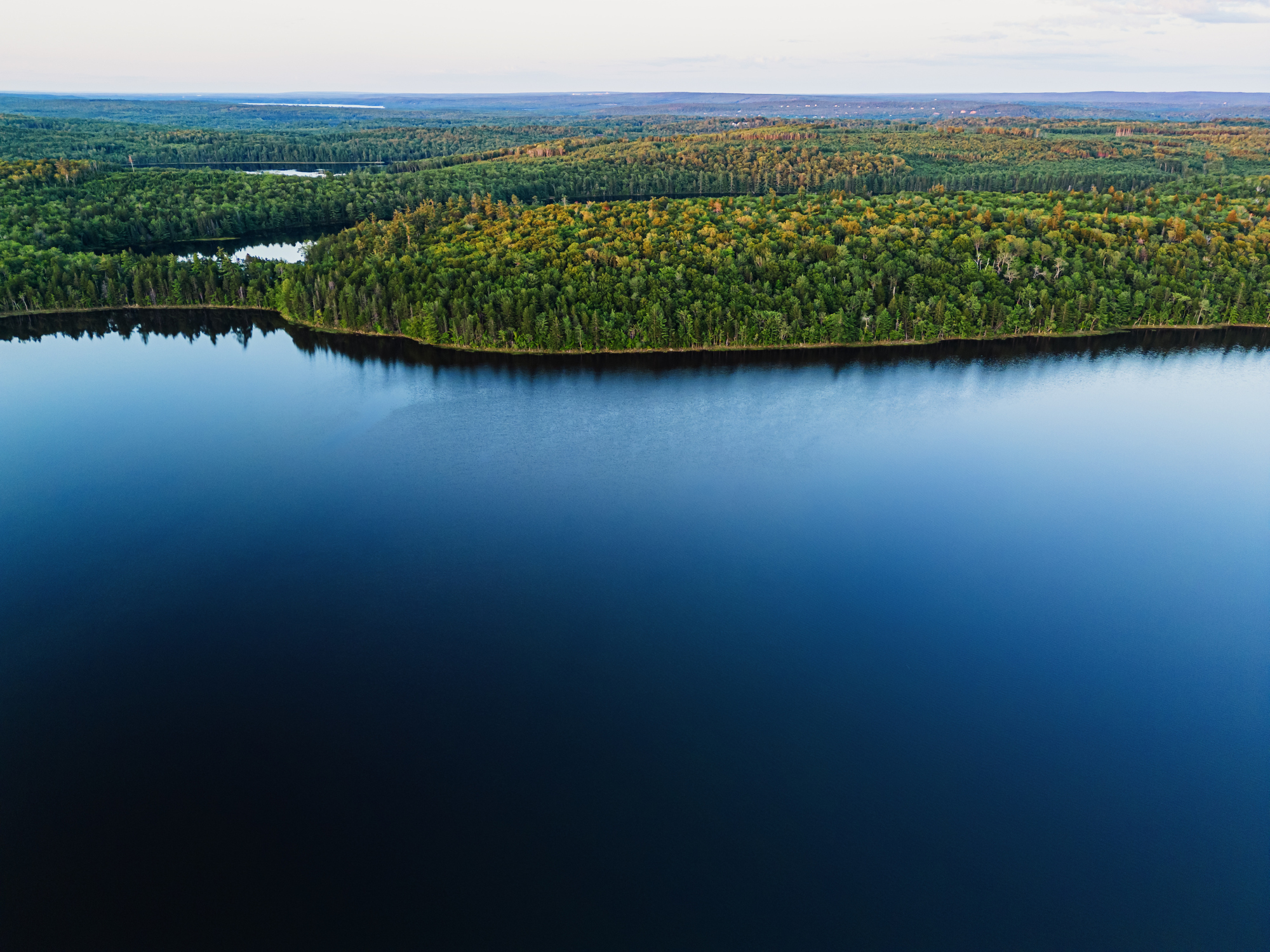 Best-out-of-waste: Why bioeconomy companies are choosing Nova Scotia, Canada