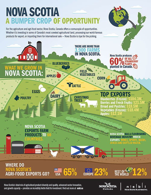 Agri-food infographic