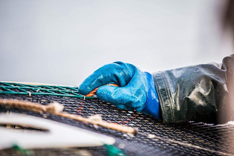 Gloved hand of seafood worker resting on cage