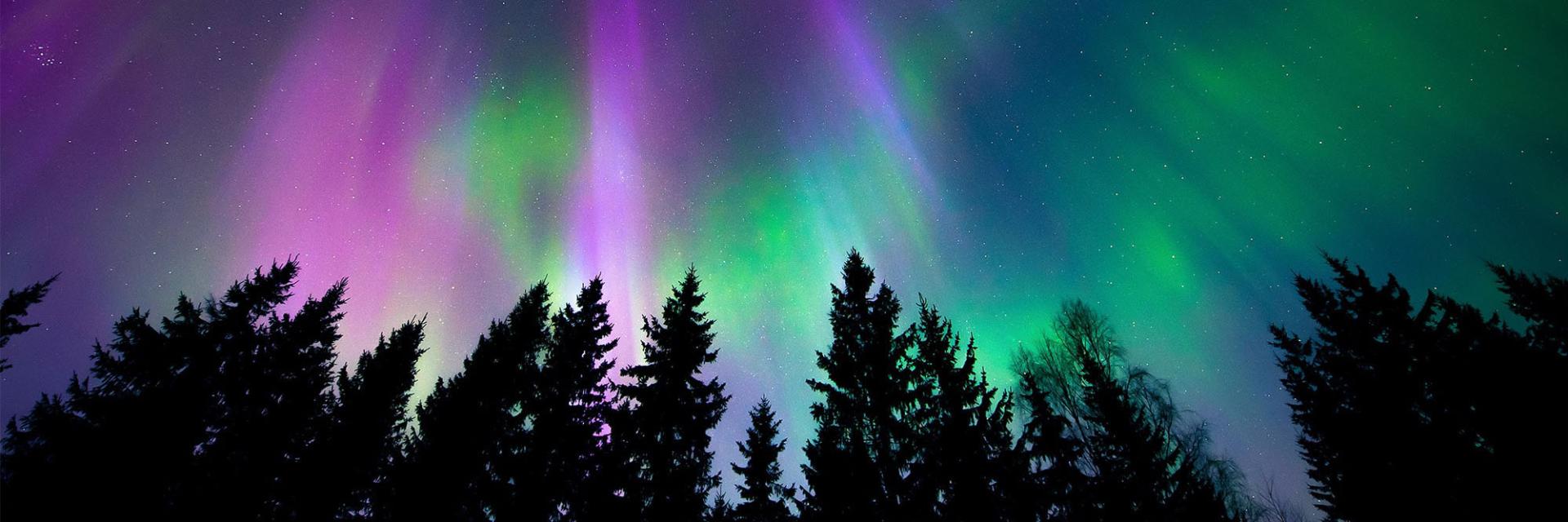 The Northern Lights 