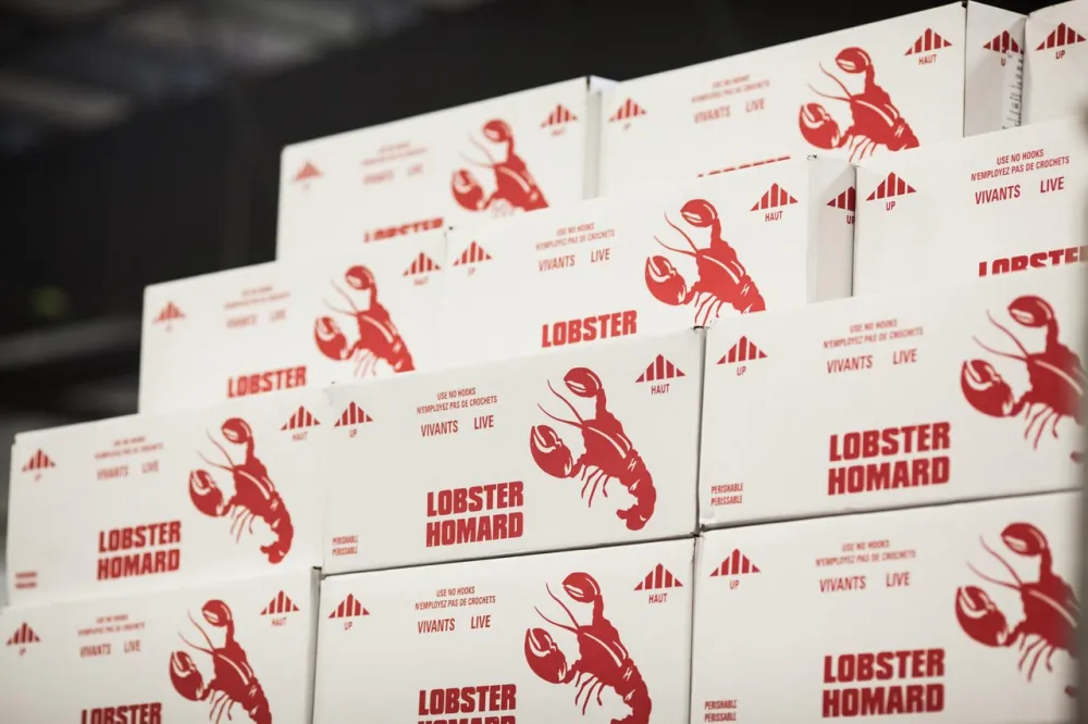 Lobster Exports