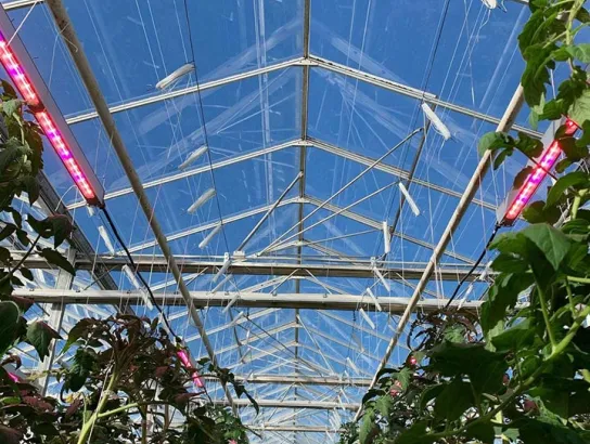 The technologies for farming under glass (and growing 3 million