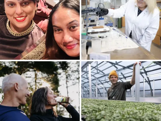 Weekly Wrap-Up: Jan 16