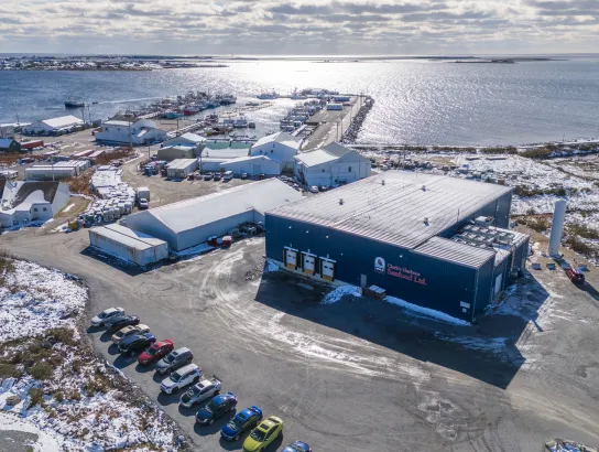 Clark's Harbour Seafood - aerial image