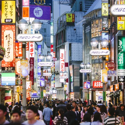 Downtown Tokyo Night
