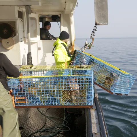 Lobster Harvesting Boat