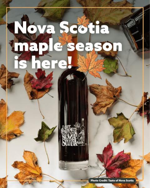 Nova Scotia Maple Season - Bottle of maple syrup surrounded by Fall leaves.