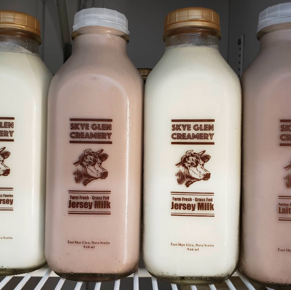 Bottles of white and chocolate milk