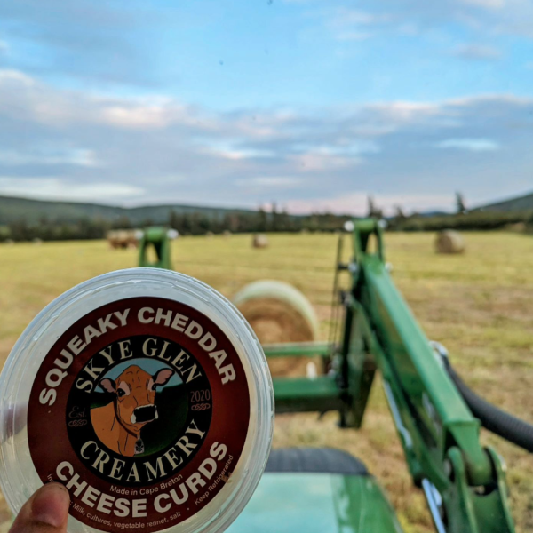 Plastic container of cheese curds with green tractor and hay field in background