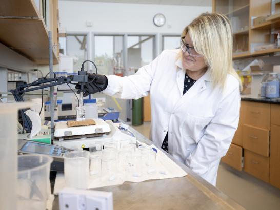 Verschuren Centre, Nova Scotia