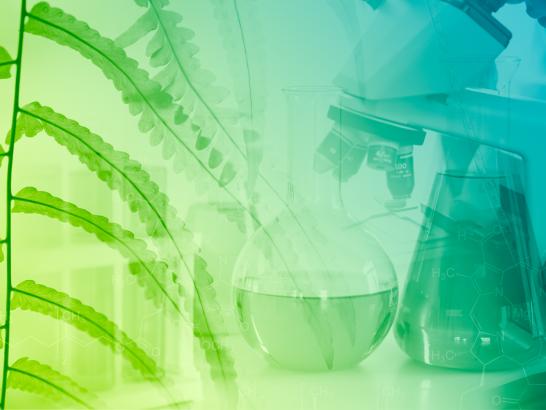 TMI - Nutraceutical Products