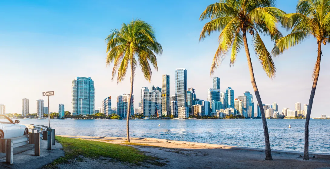Miami Skyline