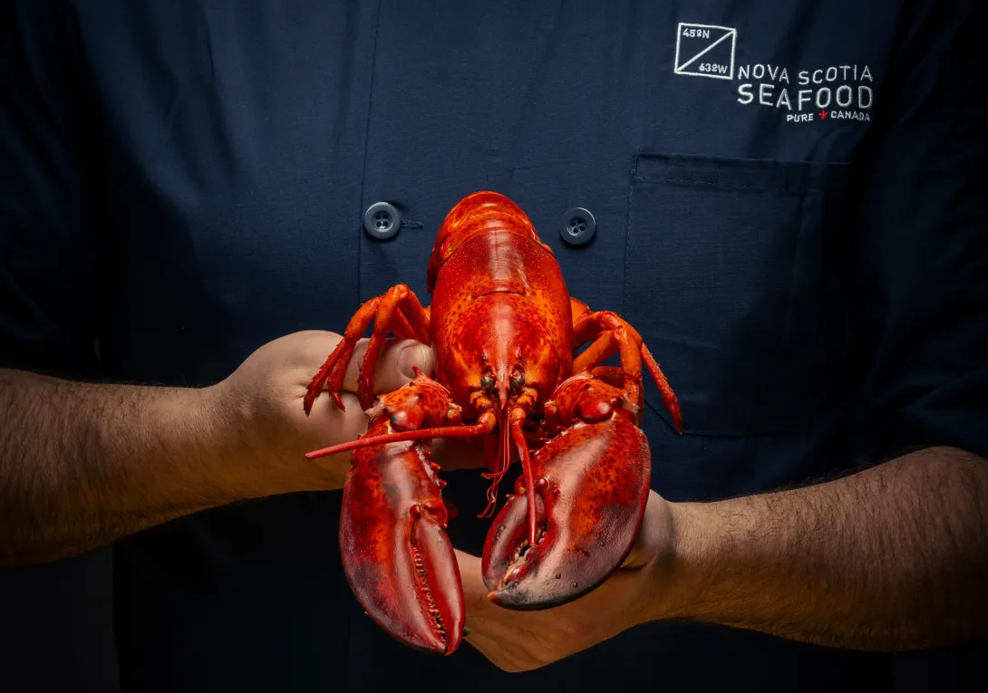 Nova Scotia Seafood Chef Holding Cooked Whole Lobster