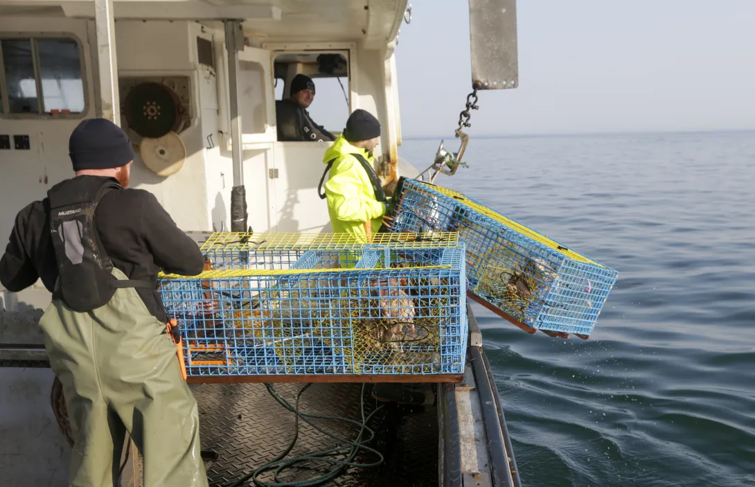 Lobster Harvesting Boat